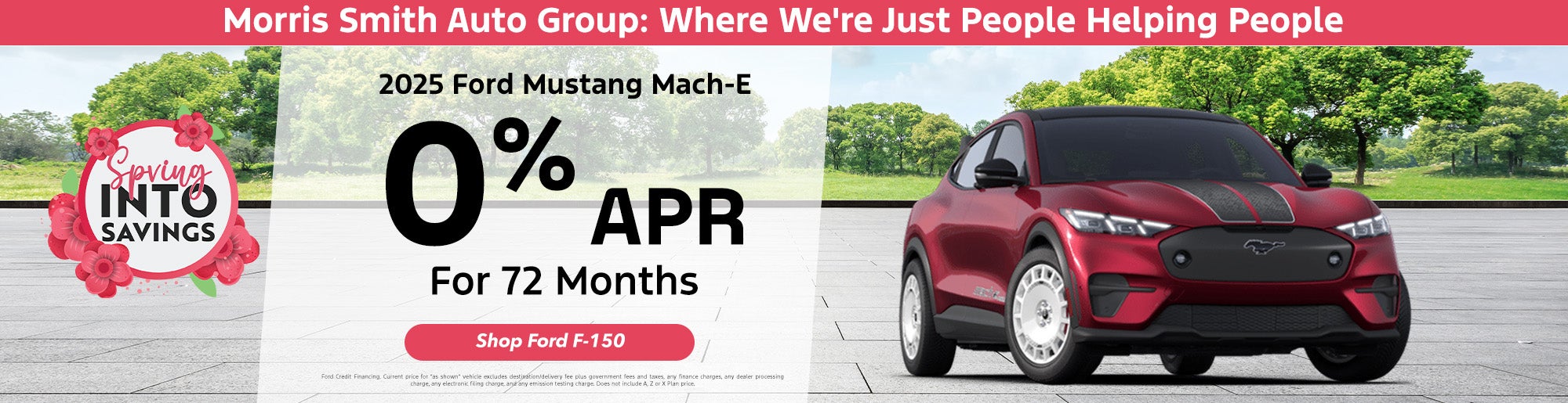 Finance 2025 Ford Mach-E